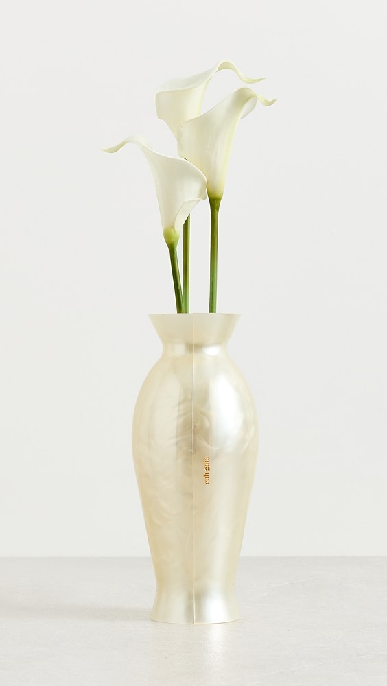 Cult Gaia Florence Clutch