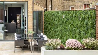 living wall in contemporary garden