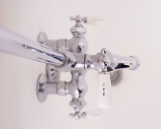 how to get rid of silverfish - bathroom taps - unsplash