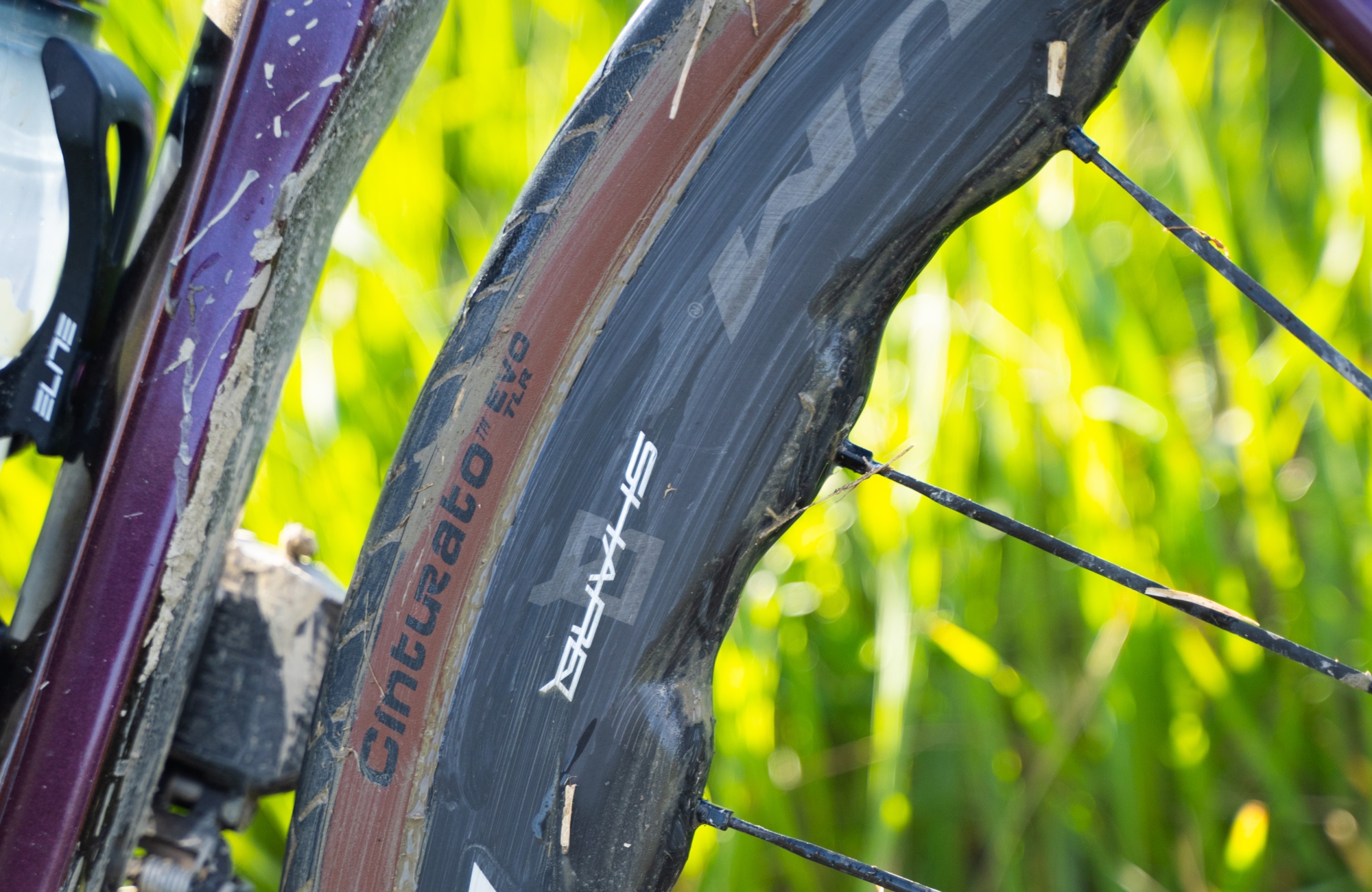 Pirelli Cinturato Evo TLR