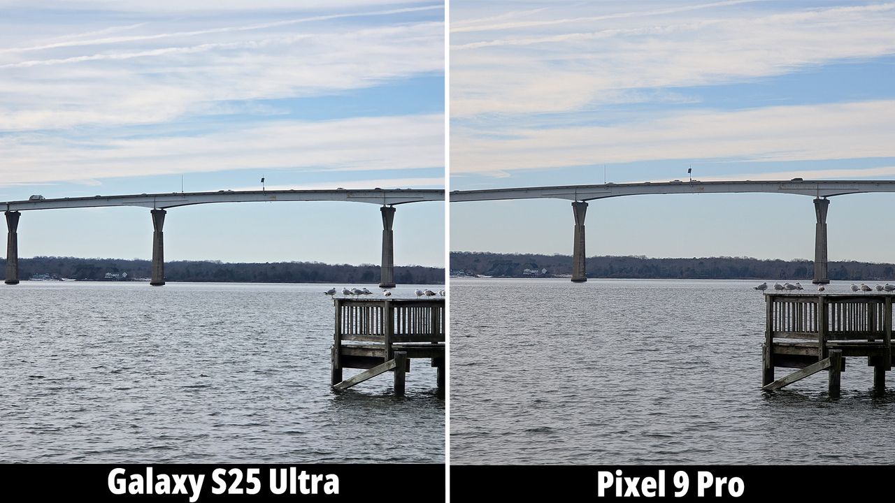 Samsung Galaxy S25 Ultra camera versus the Google Pixel 9 Pro