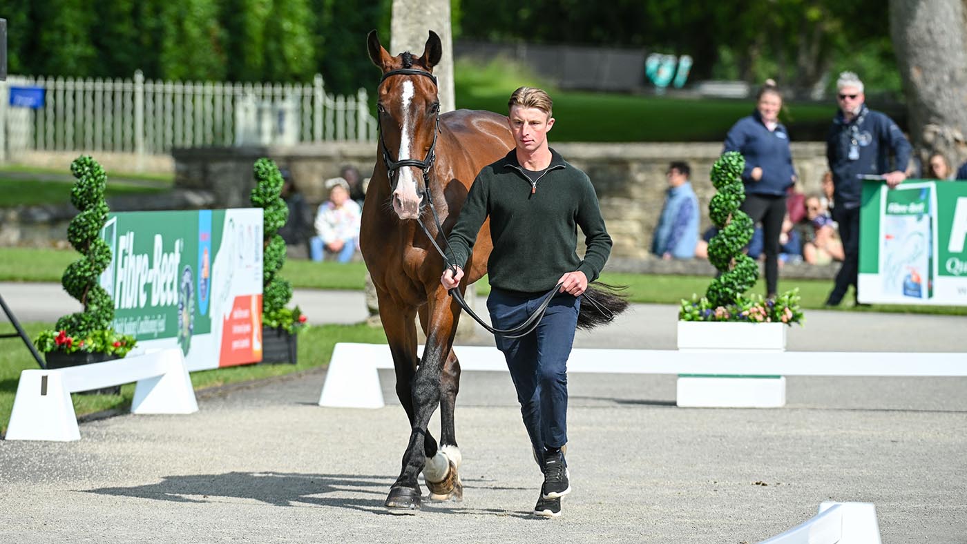 Bramham Horse Trials final trot-up: Thomas Hawke and Lonestar