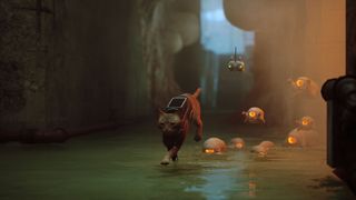 Screenshot from Stray, the game about a lost cat