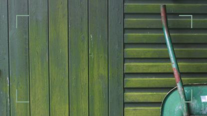 garden shed with green algae to support a guide on how to remove algae on fence panels or a shed