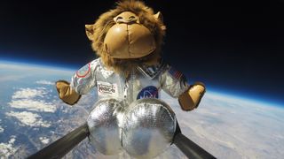 Still from the gender-reveal video of parents-to-be Lance Patrick and Ashley Blankenship, who launched a weather balloon to the stratosphere on Sept. 24, 2017. The balloon carried this stuffed monkey, a present for their future child.