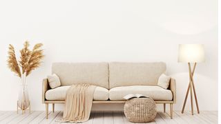 Sofa in white living room