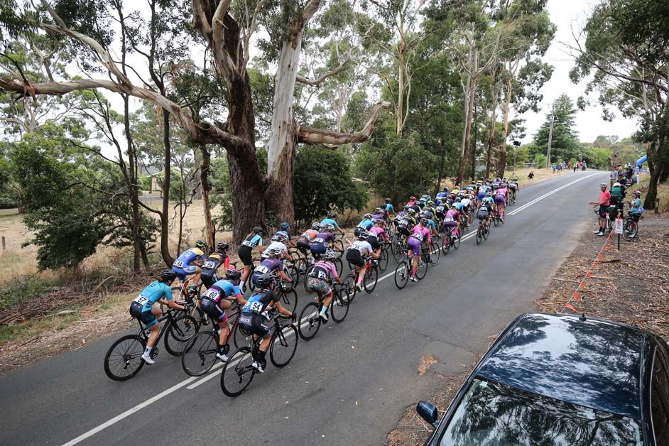 The peloton tackle a short climb
