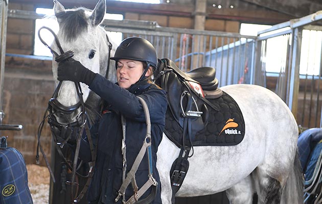 Cranford Stud Eventing 26 01 2018