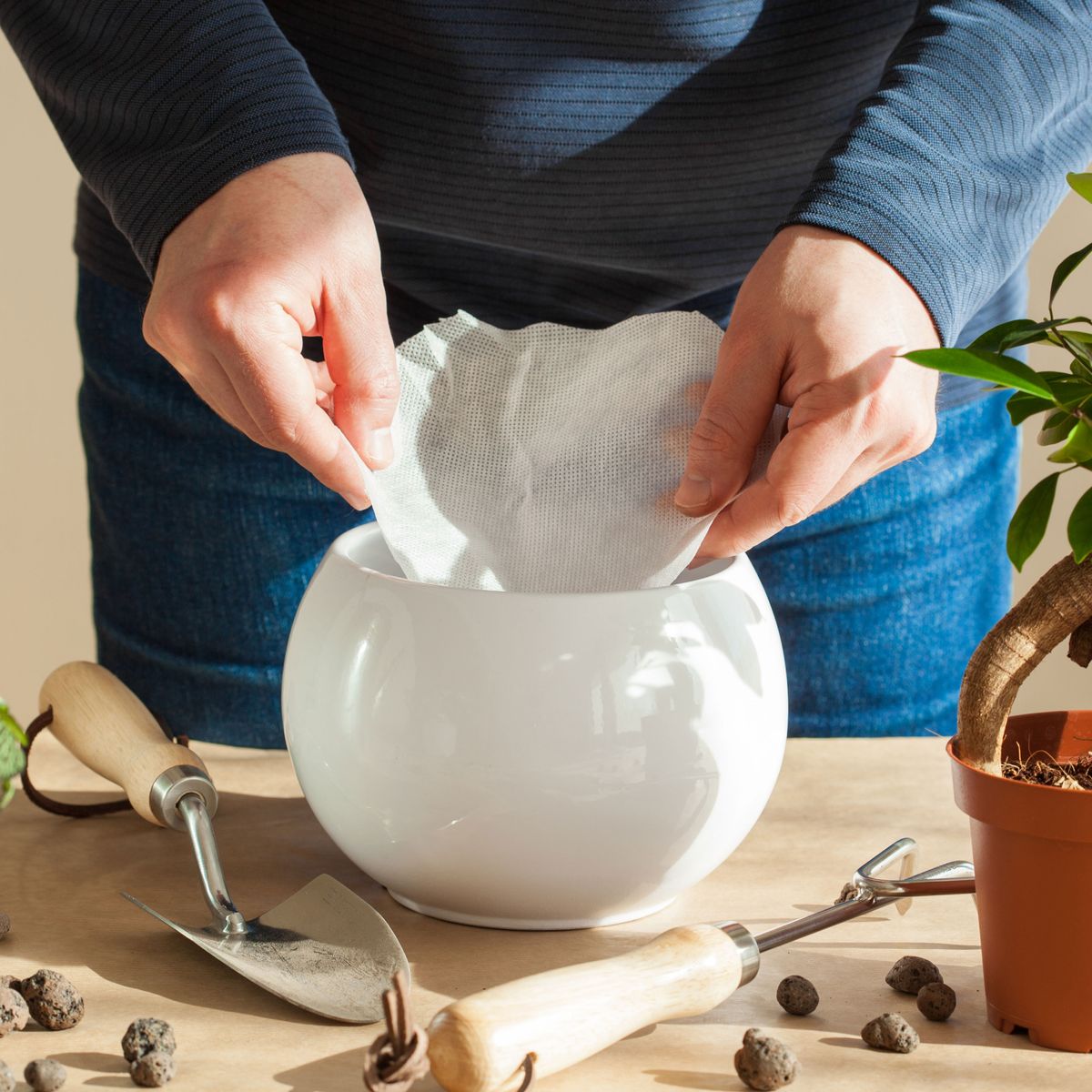 Why To Put A Coffee Filter In The Bottom Of Your Plant Pot