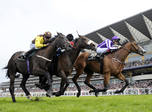 Royal Ascot 2014 — Thursday 19 June