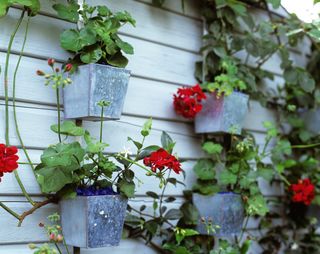 metal containers on a garden fence