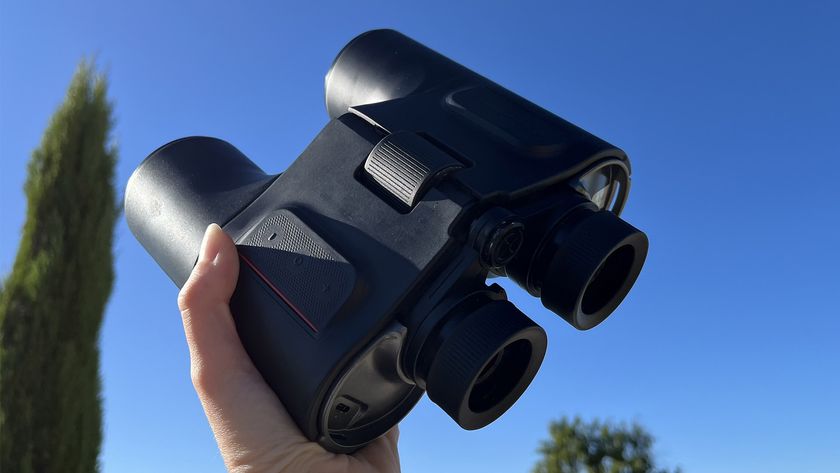 A hand holds up a pair of black binoculars with a cypress tree in the background