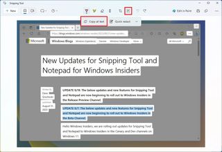 Snipping Tool extract text