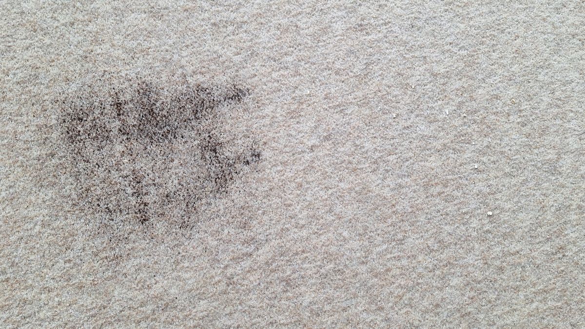 Loose tea and two loose oats on a carpeted floor after the suction test with Roborock Saros 20