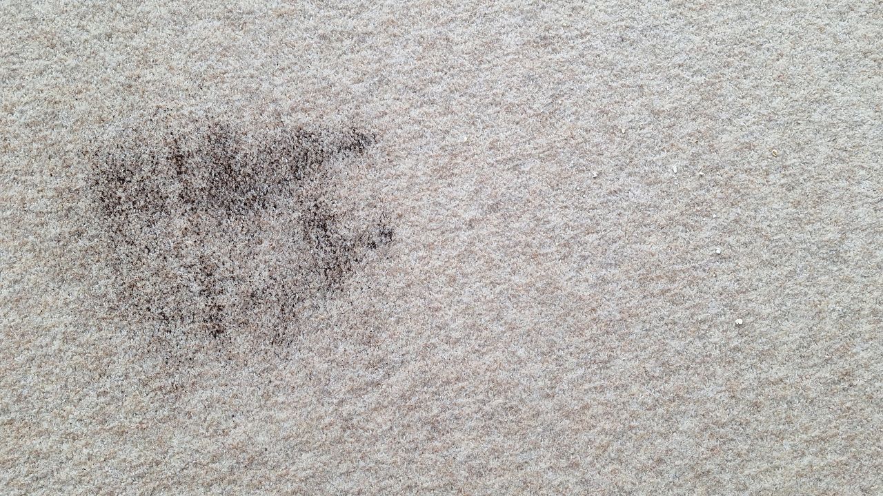 Loose tea and two loose oats on a carpeted floor after the suction test with Roborock Saros 20