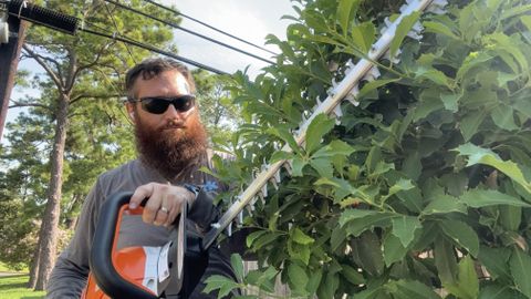 STIHL HSA 60 hedge trimmer closeup on hedge