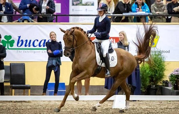Breeders-Trophy-in-Sweden.jpg