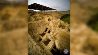 The latest tomb was discovered in February beneath a larger tomb attributed to Wari "queens," found ten years ago at the Castillo de Huarmey archaeological site in Peru.