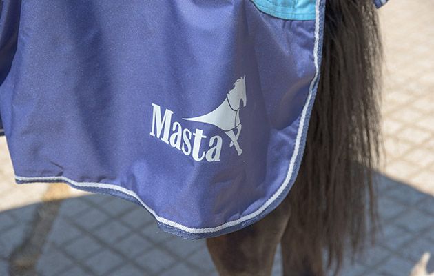 Fieldmasta Lightweight Turnout Rug review