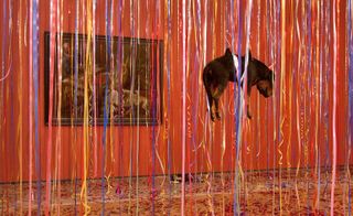 A dog is hunged by hooks from the ceiling, surrounded by colorful colorful ribbons.