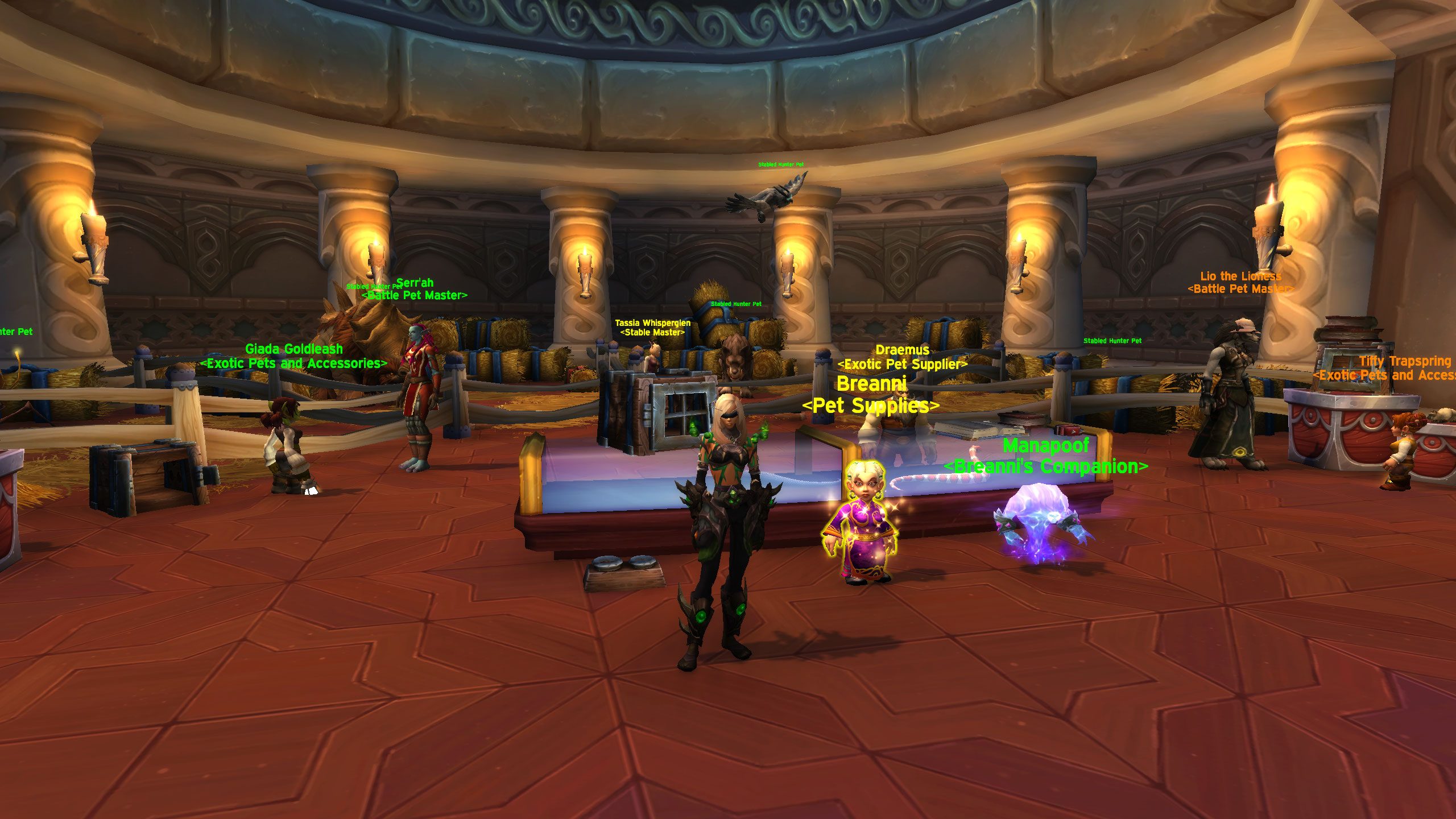 WoW Happy Pet treats - a demon hunter character is standing next to the pet supplies vendor inside the Magical Menagerie shop in Dalaran