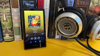 Portable music player: Sony NW-A306