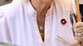 Queen Camilla's necklaces close-up as she speaks with members of Kenya Marines