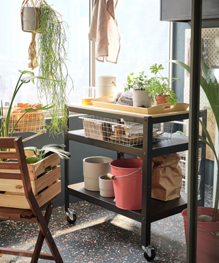 Growing herbs in a small space