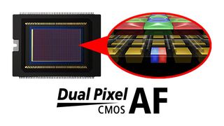 Canon's impressive Dual Pixel CMOS AF system is on board, and this allows for smooth focus during live view and video