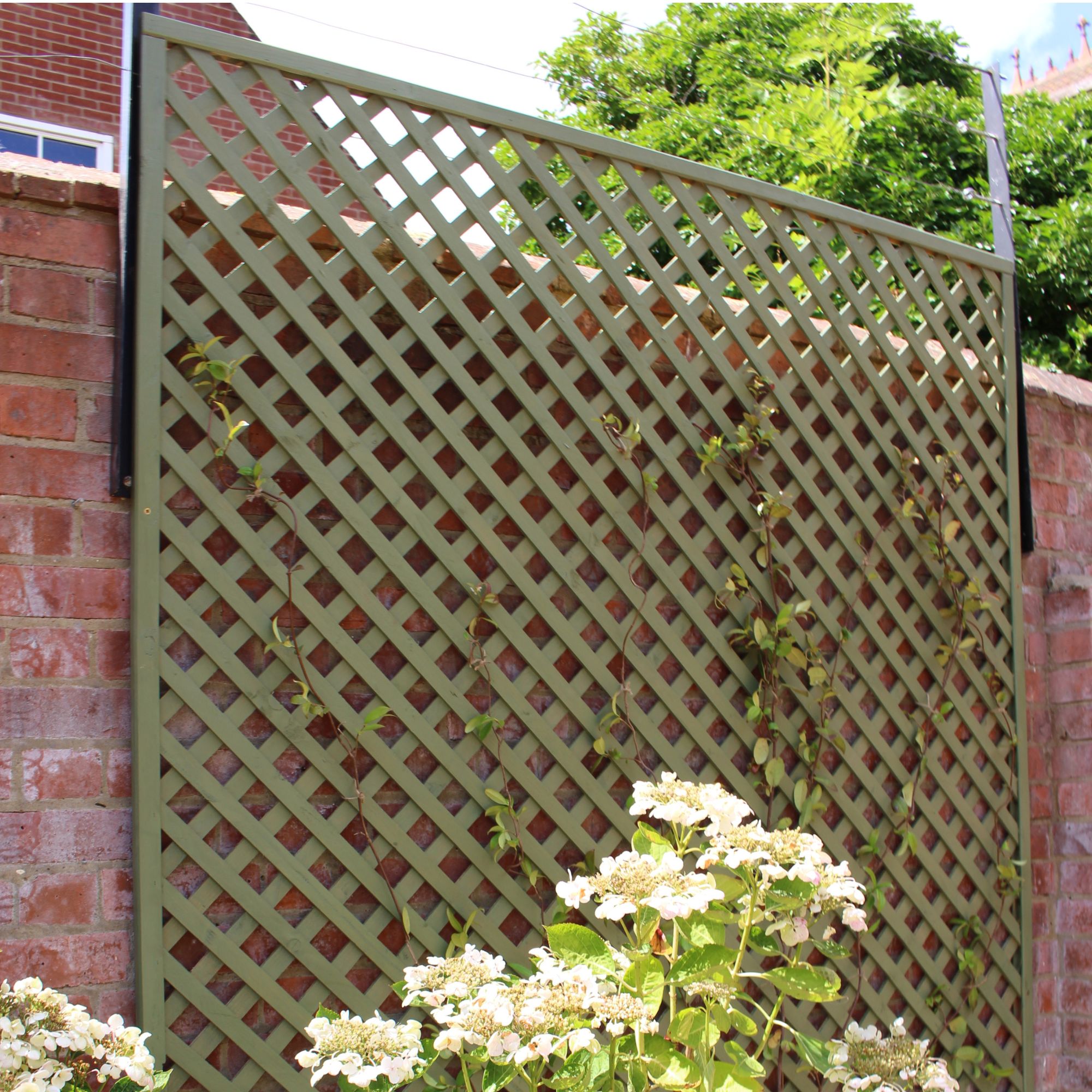 Alan Titchmarsh's lattice trellis painted Protek Pale Sage