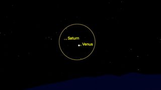 saturn shines to the left of venus and the two are encircled by a yellow circle.