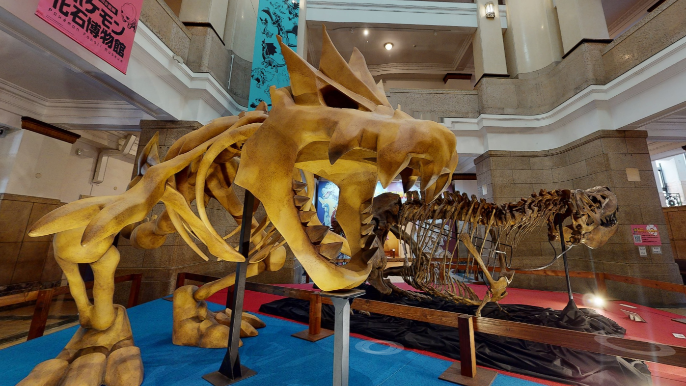 A Pokemon fossil on display next to a real fossil