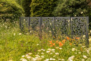 Harrod Horticulture patterned fence