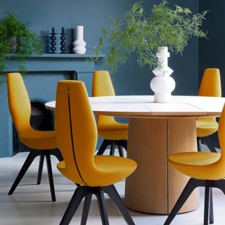 room with blue walls, wooden dining table and orange chairs