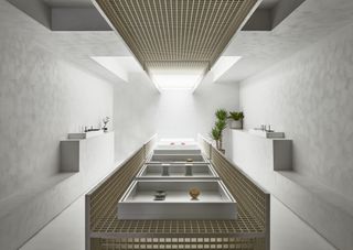 Interiors of Exition X Cannabis Shop in Toronto. A grey room with steps along the walls, a meshed metal table in the middle of the room and potted plants around it.