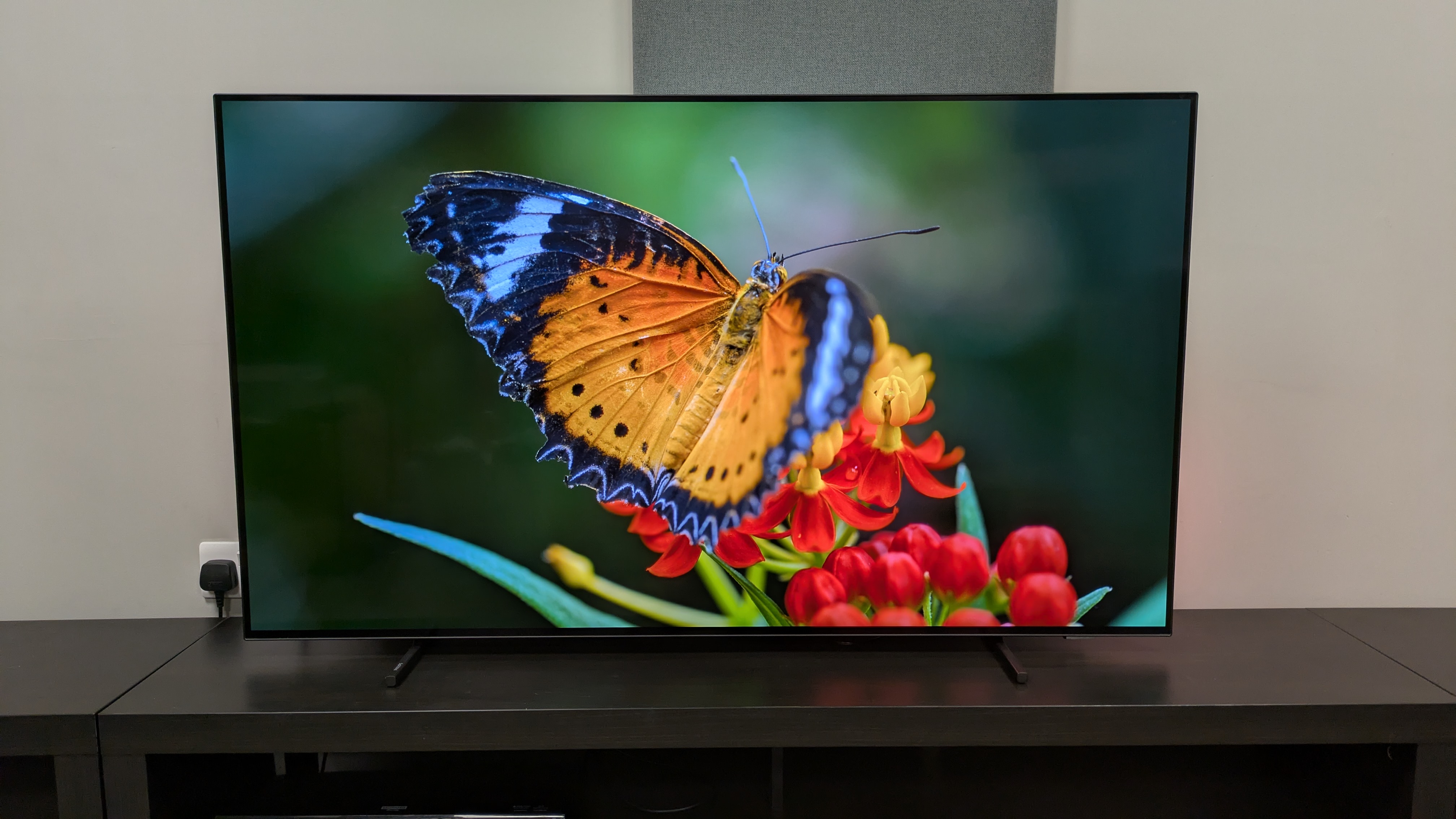Philips OLED760 with orange butterfly on screen