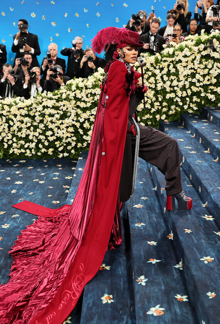 Met Gala 2025 red carpet
