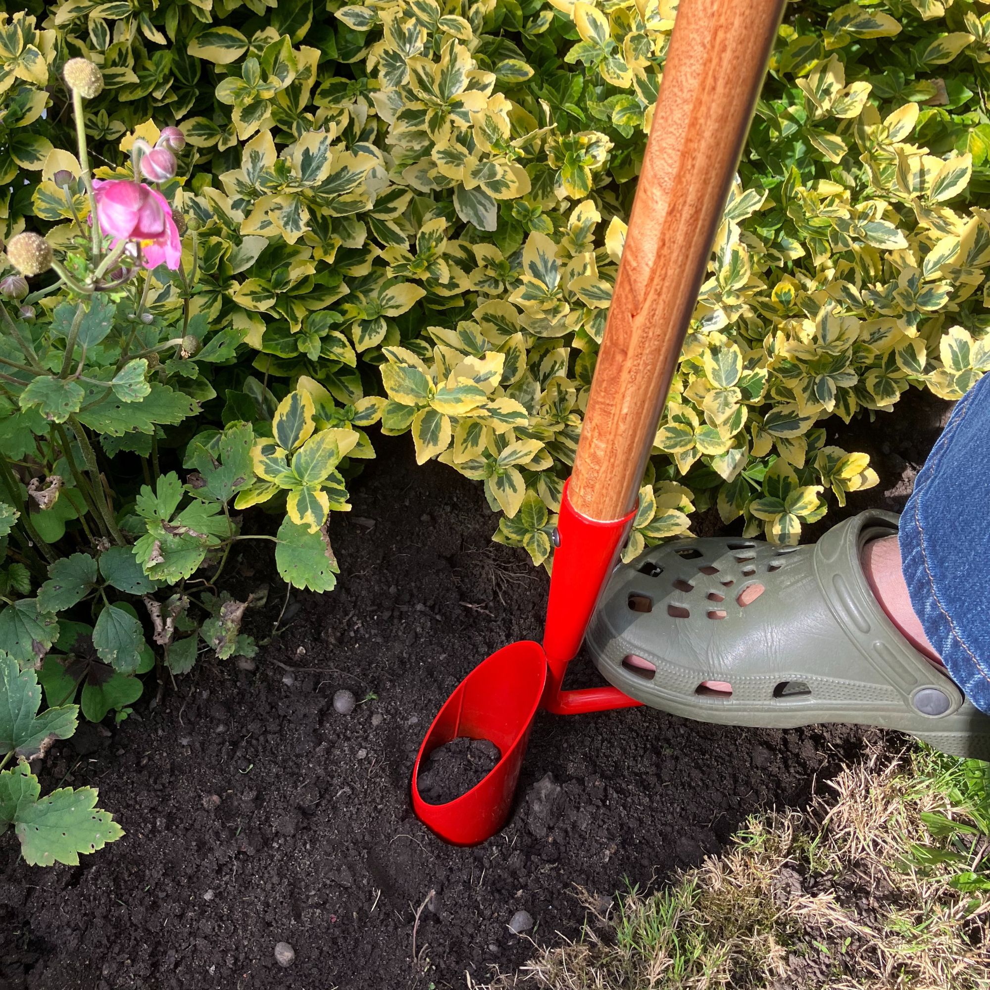 QVC long-handled bulb planter digging hole in soil