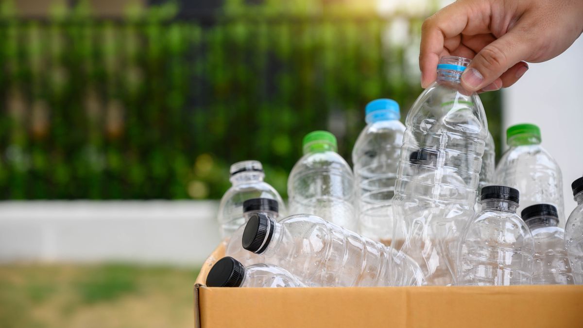 Plastic bottles in a cardboard box