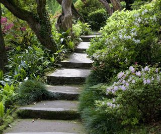 Flowers and bushes in a shade garden with steps