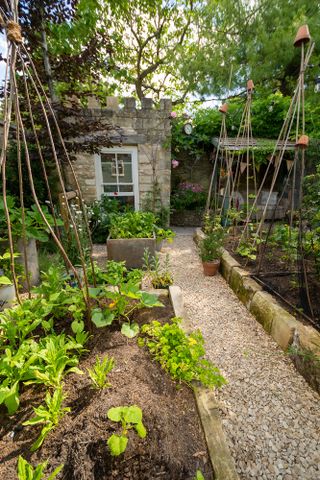 garden in Bath veg patch with outbuildings