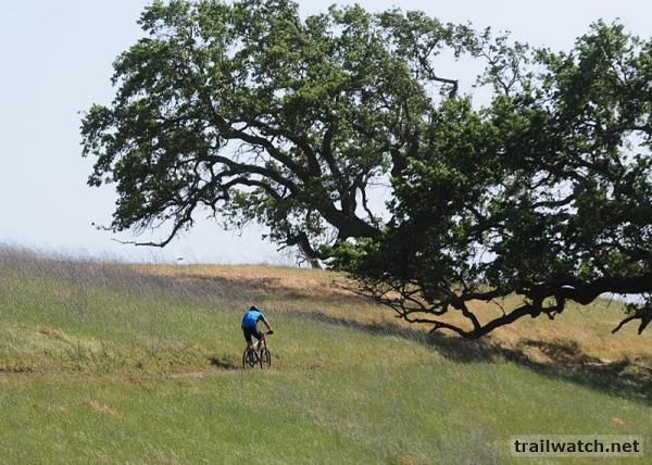 A racer in the Super D at Santa Ynez