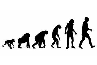 the missing link evolution