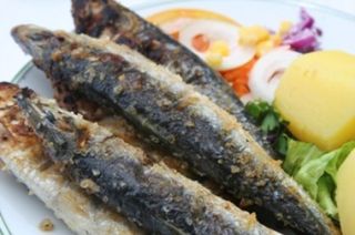 cornish sardines