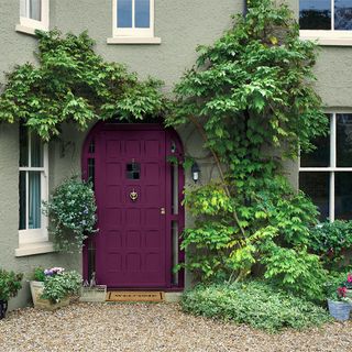 dulux weather shield green ivy royal berry front door