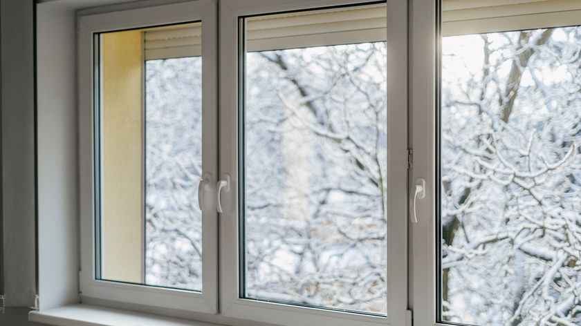 Windows during winter