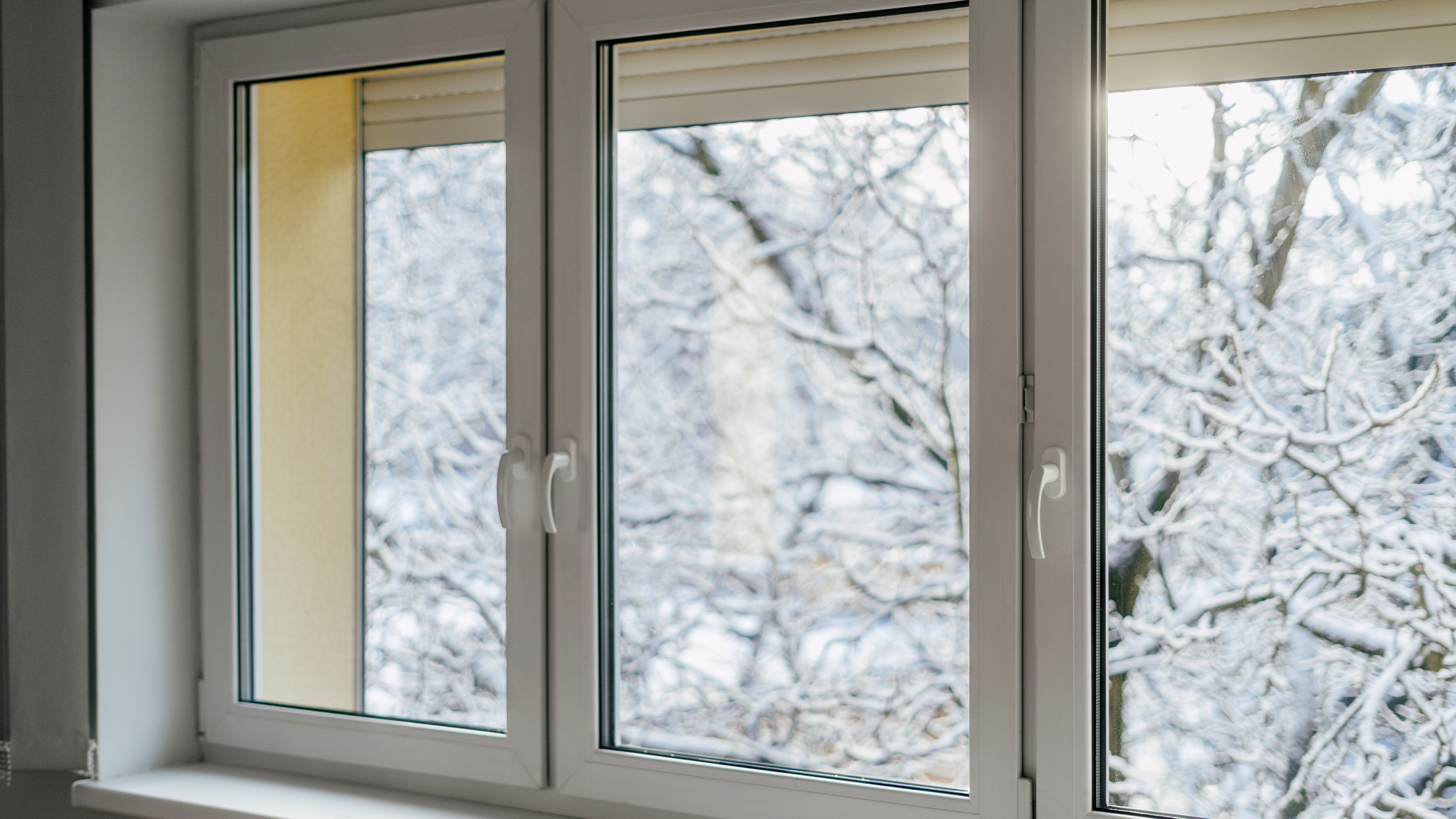 Windows during winter