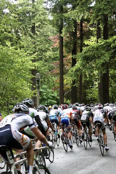 The peloton rides through Mt. Tabor's stands of timber.