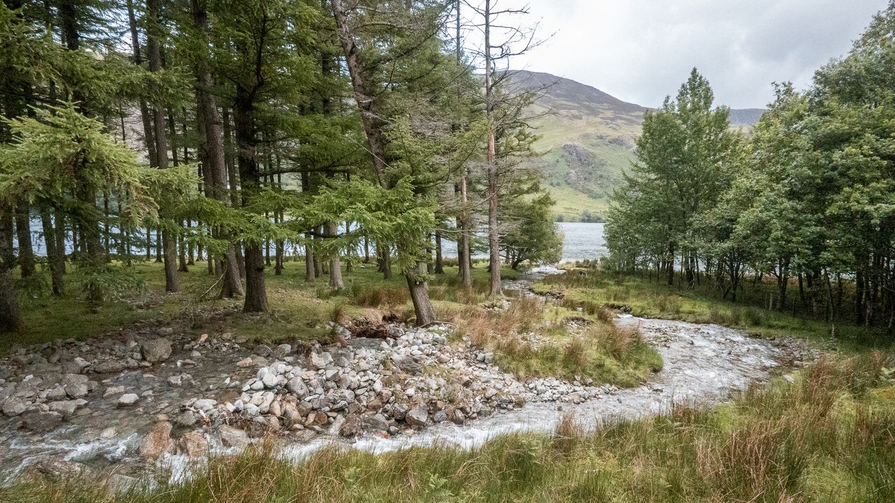 river flowing into a lake