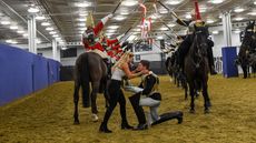 Household Cavalry Olympia proposal